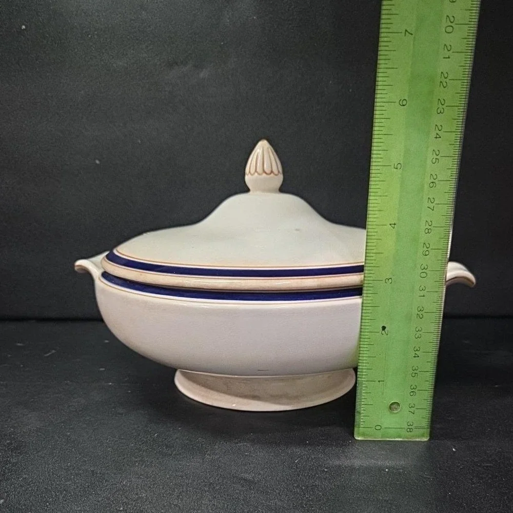 Pountrey & Co. LTD. Soup Tureen,‎ Vintage Covered Serving Dish, England China